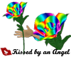 *A*Rose-Rainbow