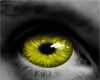 A>Yellow Cat Eyes
