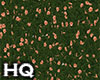 Grass & Flowers Orange