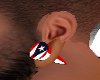 Boricua Flag Ear Plugs