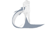 great white shark tail