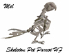 Skeleton Pet Parrot HF