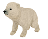 Animated Polar Bear Cub