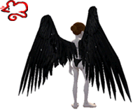 Arch Angel Wings-Black