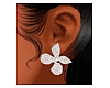 AreO. Butterfly Earrings