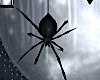 Spider Hanging Animated