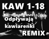 Odplywaja kawiarenki RMX