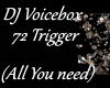 DJ Voicebox
