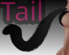 Black Cat Tail