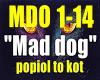 MadDog-popiol to kot..