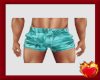 Aqua Palm Swim Shorts