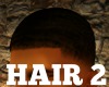 HAIR 2