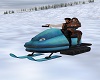WinterRetreat Snowmobile