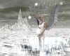 [AMY]White Ice Fairy