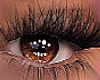 KF. Sexy Brown eyes