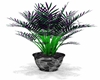 Plants ReR
