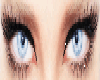 set of eyes
