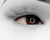 Real Eyes Browm