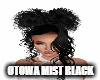 Otowa Mist Black