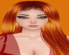 !   VIRGO  GINGER