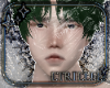 Base Skin v02