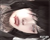 ✧. gore MH I [HAWK]