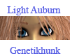 Light Auburn Female