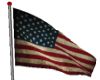USA Animated Flag