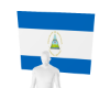 🍯. nicaraguan flag