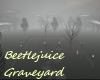 Beetlejuice Graveyard