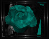 !T! Gothic | Roses T