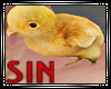 Yellow Chicken - Unisex