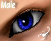 38RB Dark blue Eyes - M