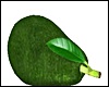 Avocado abacate