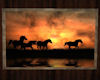 'Sunset Horses Picture