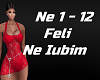 ✈  Feli - Ne Iubim