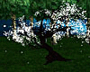 White Blossom Tree