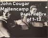 John Cougar Paper in Fir