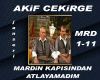 MARDiN KAPiSiNDAN