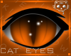 Orange  Eyes 2a Ⓚ