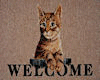 [Luv] Cat Welcome Mat