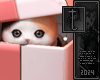 birthday present cat