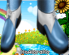 (A) Blue/White Shoes