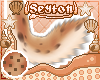 ✦ Biscotto | Tail