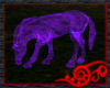 *Jo* Ghost Horse Purple