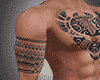 T-TribaL MuscLe TaTTooS