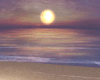 V| Tropics Sunset Beach