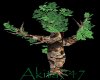 Akitas grandfather tree