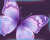 Butterfly Sticker