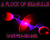 Flock of Seagull Wishing